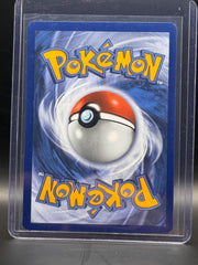 Nymble 096/094 Illustration Rare Phantasmal Flames Pokemon Holo Near Mint