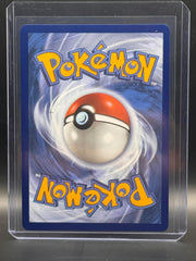 Chespin 087/086 Holo Illustration Rare Chaos Rising Pokemon Near Mint